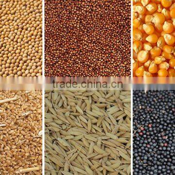 Mini Dryer Grain Rice Grain Dryer Corn Grain Dryer photo-2