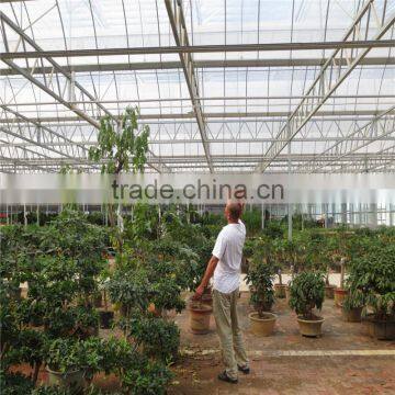 Low Cost Agricultural Greenhouse , Plastic Film or Polycarbonate Green House photo-6