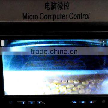 Low Temperature Microwave Vacuum Dryer for Banana Chips photo-4