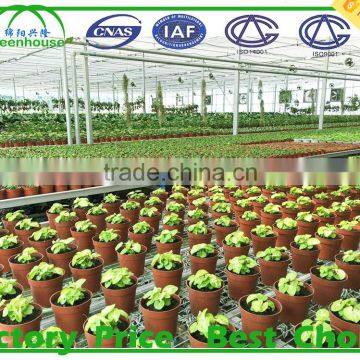 One Stop Grande Greenhouse Type Multi Span Plastic Film Commercial Greenhouse for Sale