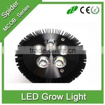 PAR38 E27 12W 15W 18W led grow lights /plant light bulb for mini plant growing