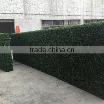 High Quality Plastic Artificial Boxwood hedge Green Wall