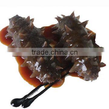 Sugar-Free Sea Cucumber Type photo-4