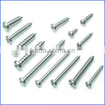 Din7981 Pan Head Self Tapping Screw Tapping Made in China photo-3