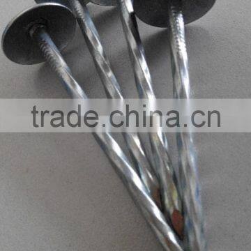 Galvanized Roofing Nails/umbrella Roofing Nails/roofing Nails With Washer photo-5