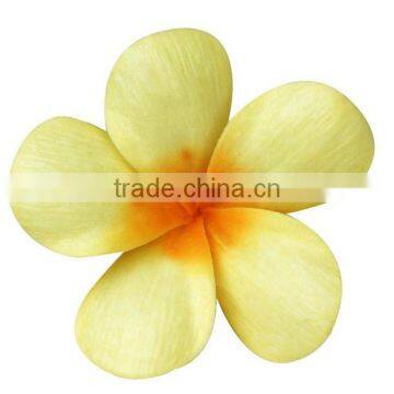 Plumeria frangipani flower head realistic look flower