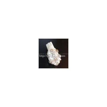 led signal light-T10-WG-9Flux