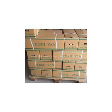 Whole Sale Fresh Chinese Yam photo-3