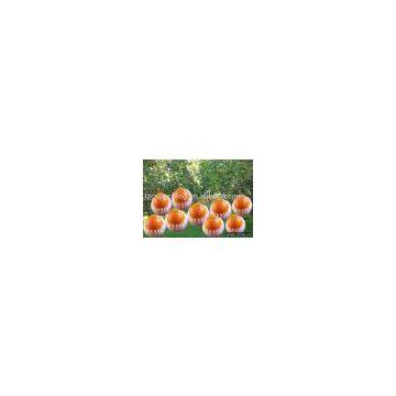 WHITE LOTUS EPE FOAM TRAY FOR PACKING FRUIT