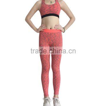 Women Fashion Sports Gym Shark Yoga Pants Leggings pants