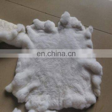 100% Natural Rex Rabbit Fur Skin Dyed Rex Rabbit Fur Pelt From China photo-2