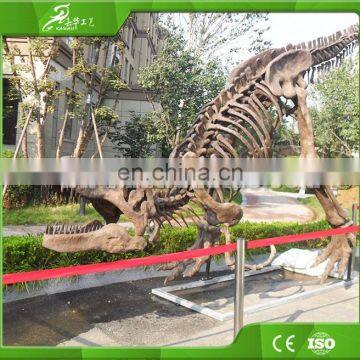 KAWAH High Quality Exvacation Replica Dig Life Size 3d Education Dinosaur Fossil For Sale photo-5