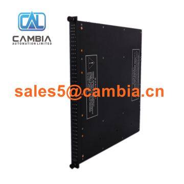 In Stock! Original Triconex 7400169-310 / sales5@cambia.cn