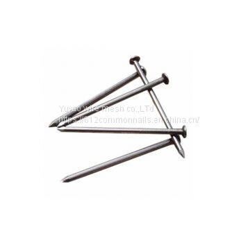 Q195 Polishing Common Nail From YuYao Factory photo-4