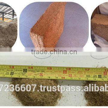 bagasse block for animal feed