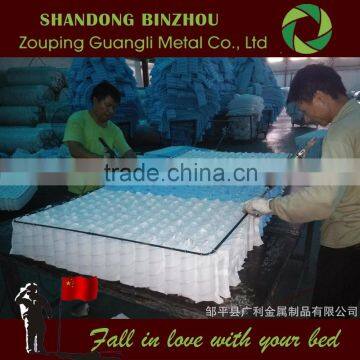 China Health Pocket spring bed company with micro pocket spring for xxxn mattress