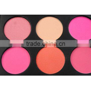 cosmetic blusher10 color blusher palette