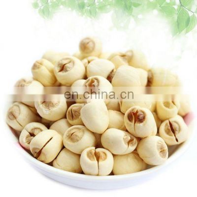 Dried lotus seeds/Organic Vietnam White Lotus Seeds from Vietnam