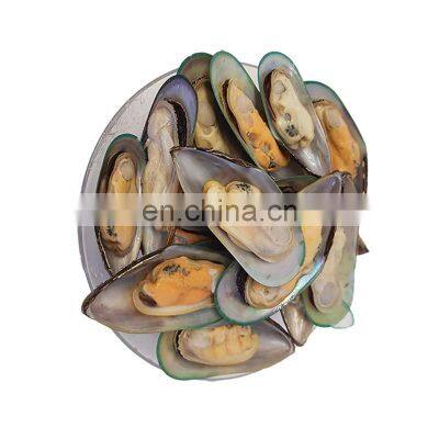 Hot Sale Frozen Half Shell Mussel for Export photo-3