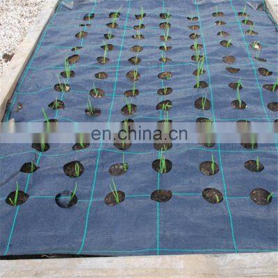 Factory Price PP Woven Ground Cover Anti Weed Mat with Holes