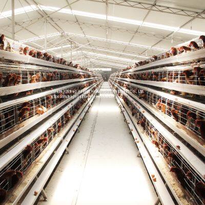 Poultry Farming Equipment Automatic Chicken Battery Cage photo-4