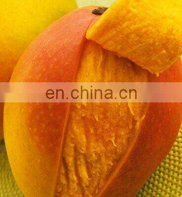 Heißverkaufende Mango-Schälmaschinen photo-2