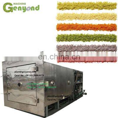 Vacuum Freeze Dried Food Dragon Fruit Honey Powder Instant Coffee Durian Strawberry Raspberry Flowers Roses Vegetable Machine photo-3