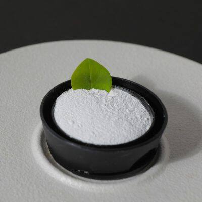 Zinc Sulfide powder