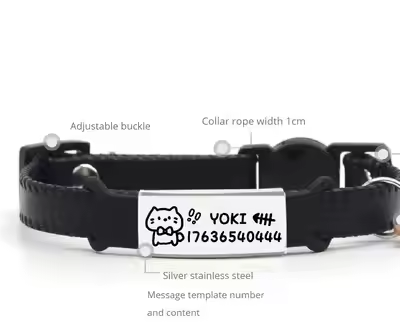 Hot Selling New Design Luxury Leather Custom Name ID Personalized Dog Cat Accessories Collar Jewelry
