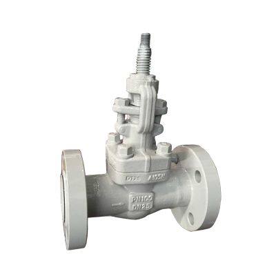 Economical ANSI Forged Globe Valve Sizes 1/4