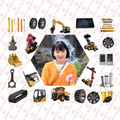Excavator Parts Trade Sany Accessories Manufacturer Sany Spare Parts Supplier - Genuine Spare Parts for Excavators & Cranes