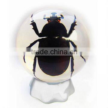 6.0 cm real resin acrylic marble ball with bugs