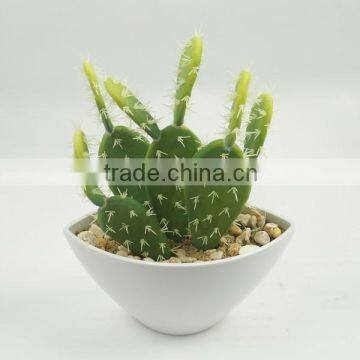 Handmade indoor decoration cheap succulent plants Chinese manufacturer