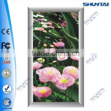 Aluminum Frame and Front snap open slim advertising frame