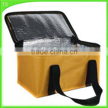 insulation 4 cans cooler bag 600D polyester cooler bag Coca drink cooler bag                        
                                                Quality Choice