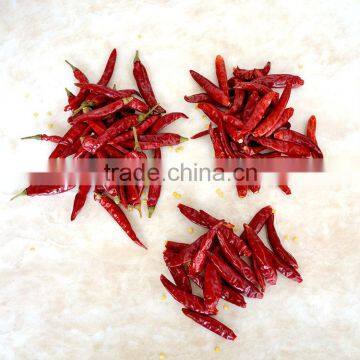 Small Hot Chili Hot Chilli Pepper Chaotian Chilli