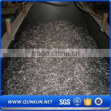 hebei bwg9-12 factory electric galvanized umbrella roofing nails