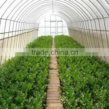Greenvinci high quality biomass hot air generator for greenhouse poultry
