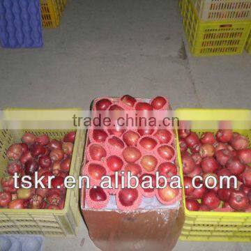 apples fresh red huaniu apple from china