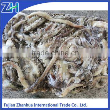 Peru frozen giant squid tentacle in squid, ready stock squid tentacle