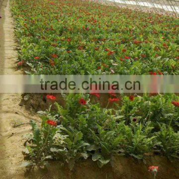 Used Greenhouse Farmland Drip Irrigation Systems