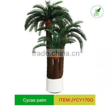 artificial cycas trees in group for decoration