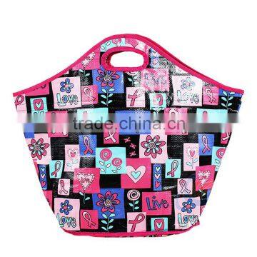 Eco-friendly children hand carry lunch bag/lunch tote(Gre-1219)