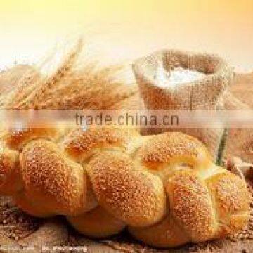 small bread production line in food machine