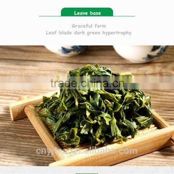 Famous Green Tea Products Type Organic Produce Shipping From China photo-4