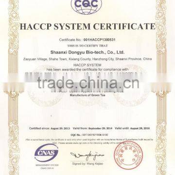 GMP Factory Supplys Green Tea Powder EGCG Antioxidant Products Instant Powder photo-6