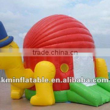 Turtle inflatable bouncer