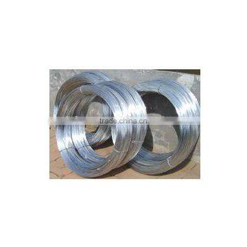 low price 22BWG electro galvanized iron wire factory