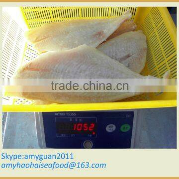 Frozen Fish Export to Chile Market (brama brama fillet)