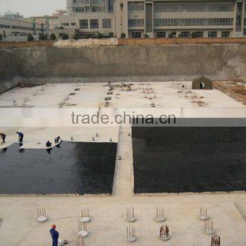ISO Certificate High Quality Construction Material Waterproof Coating photo-2